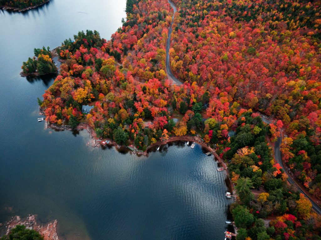 Road through Ontario